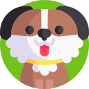 dog icon MDW Pet Services - Arlington, MA